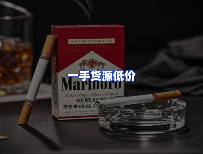 专业团队